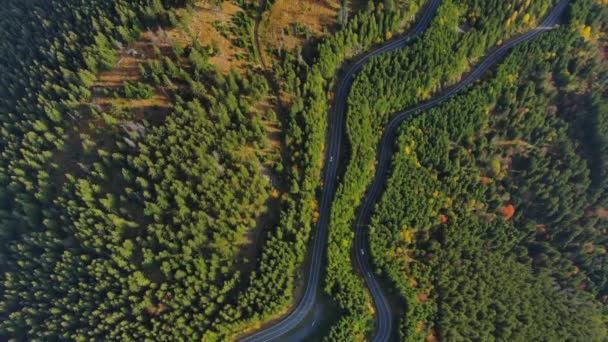 Aerial Top View Curved Road Trough Forest Mountain Pass Transylvania — Stock Video
