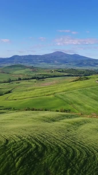 Toscana Flygbilder Landskap Jordbrukslandskapet Kvällen Italien Europa Vertikal Video — Stockvideo