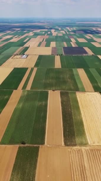 Ländliche Luftlandschaft Mit Bunten Landwirtschaftlichen Feldern Serbien Vertikales Video — Stockvideo