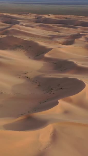 在蒙古戈壁沙漠 空中俯瞰着沙丘 垂直录像 — 图库视频影像