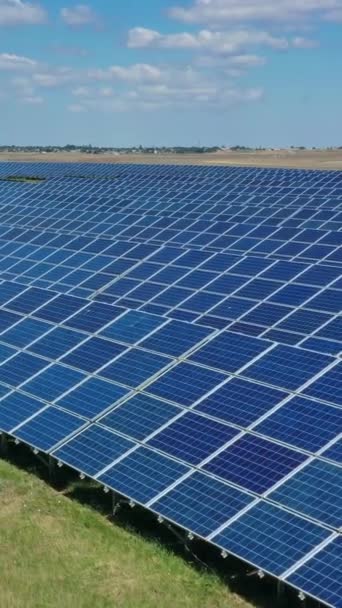 Fliegen Sie Über Viele Solarzellen Umweltschutz Elektrische Energiewirtschaft Vertikales Video — Stockvideo