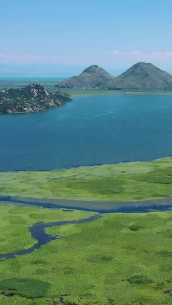 Vista Aérea Belo Lago Skadar Entre Montanhas Verão Montenegro Vídeo — Vídeo de Stock
