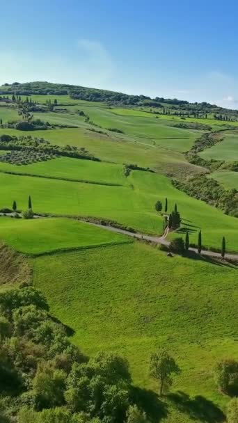 Воздушный Ландшафт Тосканы Горная Фермерская Страна Италия Европа Вертикальное Видео — стоковое видео