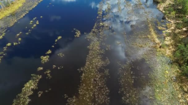 傾斜ビュー Moorstationニックルハイム ドイツ 4Kの空の下で森と湖の風景の空中ビュー — ストック動画