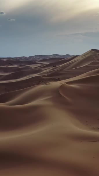 在蒙古戈壁沙漠 空中俯瞰着沙丘 垂直录像 — 图库视频影像
