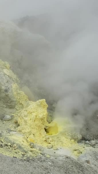 Fumaroles Dans Cratère Volcan Actif Mutnovsky Kamchatka Russie Vidéo Verticale — Video