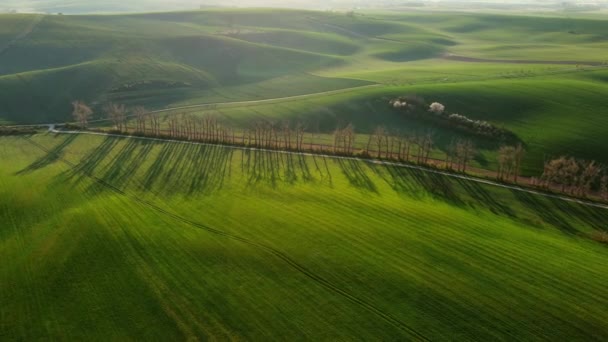 Baharda Tarımsal Tarlaları Olan Muhteşem Yeşil Dalgalı Tepelerin Havadan Görünüşü — Stok video