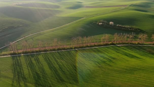 Aéreo Torno Vista Incríveis Colinas Onduladas Verdes Com Campos Agrícolas — Vídeo de Stock