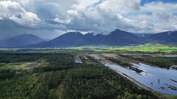 Vista Panorámica Aérea Del Paisaje Del Lago Pantano Con Bosque — Vídeo de stock