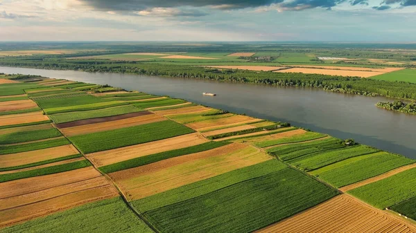 Flygfoto Färgglada Fält Hög Strand Donau Serbien — Stockfoto