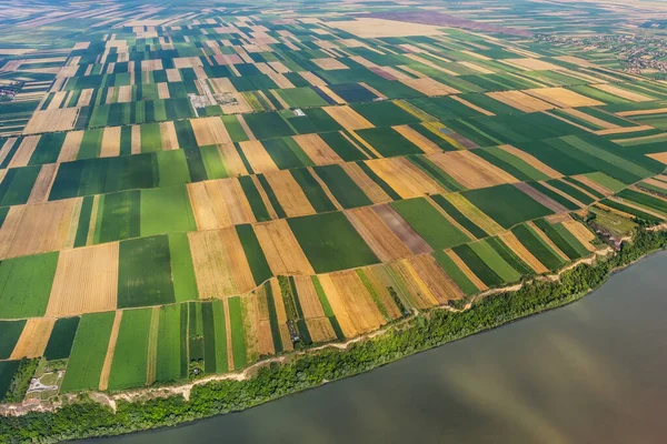 Aerial High View Colorful Fields Bank Danube River Serbia — Stock Photo, Image