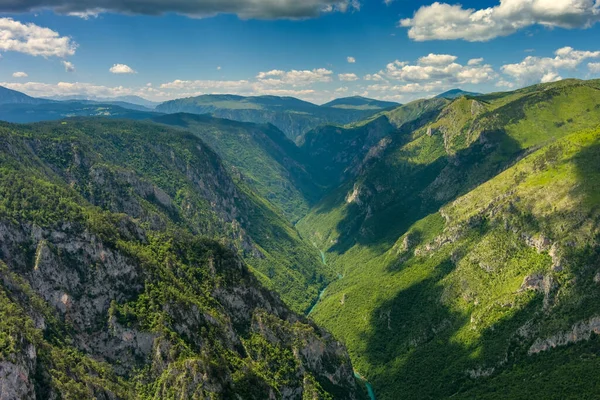 Letecký Pohled Hluboký Kaňon Řeky Tara Lesní Horu Severní Černé — Stock fotografie
