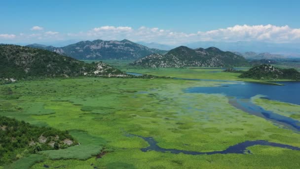 Luftaufnahme Des Schönen Skadar Sees Zwischen Bergen Sommer Montenegro Panorama — Stockvideo