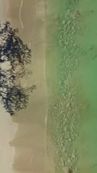 Palmiye Ağaçlarının Gölgeleri Tayland Sakin Bir Denizin Olduğu Terk Edilmiş — Stok video