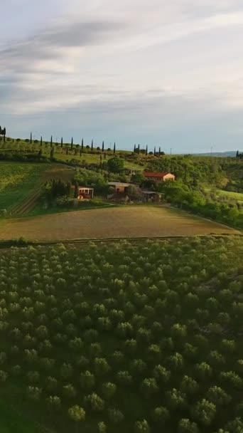 托斯卡纳空中日出农田山地乡村风景 意大利 垂直录像 — 图库视频影像