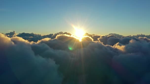 Lecące Nad Chmurami Widok Powietrza Chmury Poranne Słońce Podróżując Powietrzem — Wideo stockowe