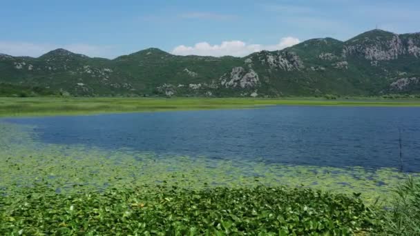 Luchtfoto Van Het Prachtige Skadar Meer Tussen Bergen Zomer Montenegro — Stockvideo