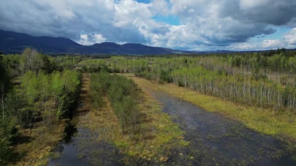 德国尼克尔海姆 摩尔赖特 带云彩的森林的沼泽湖景空中景观 — 图库视频影像