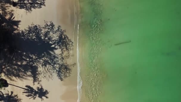 Letecké Video Krásy Opuštěné Pláže Stíny Palem Klidné Moře Thajsku — Stock video