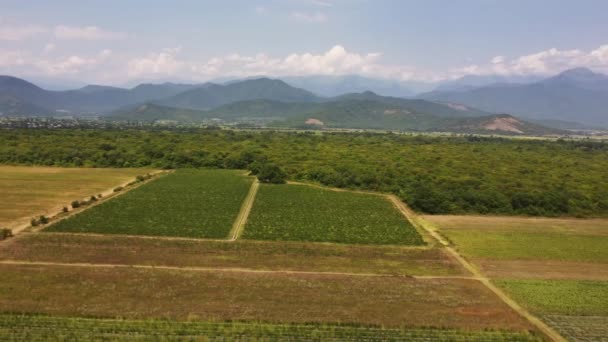 Letecký Pohled Krásná Pole Horskou Krajinu Gruzii Panorama — Stock video