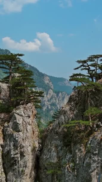 Beau Paysage Montagnes Vue Aérienne Pin Sur Les Rochers Bosnie — Video