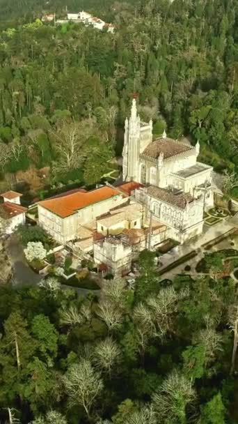 Luftaufnahme Des Parks Und Palastes Von Bussaco Coimbra Portugal Vertikales — Stockvideo