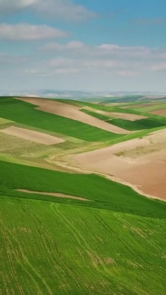 Flyglandskap Med Kuperade Jordbruksfält Marocko Afrika Vertikal Video — Stockvideo