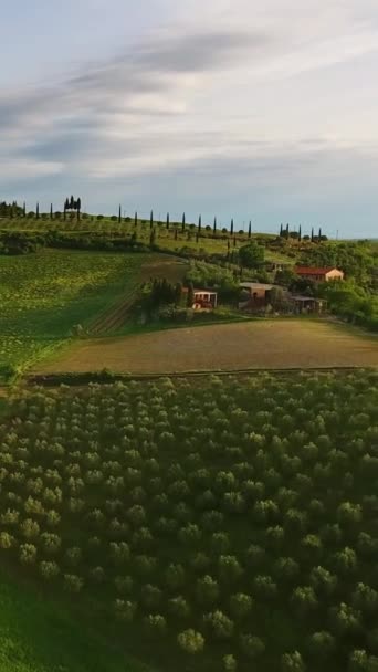 Toscane Lever Soleil Aérien Terres Agricoles Colline Paysage Campagne Italie — Video