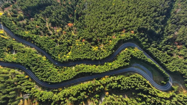 Aerial Top View Curved Road Trough Forest Mountain Pass Transylvania — Stock Photo, Image