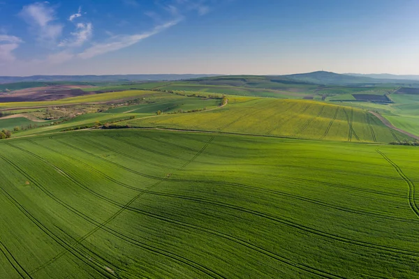 Letecký Pohled Úžasné Zelené Zvlněné Kopce Zemědělskými Poli Jaře Jihomoravský — Stock fotografie