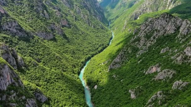 Vista Aérea Rio Tara Desfiladeiro Profundo Montanha Florestal Norte Montenegro — Vídeo de Stock