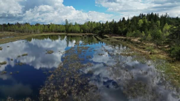 Вид Повітря Болотне Озеро Пейзаж Лісом Під Небом Хмарами Мурстац — стокове відео