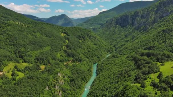 Vue Aérienne Canyon Profond Rivière Tara Montagne Forestière Dans Nord — Video