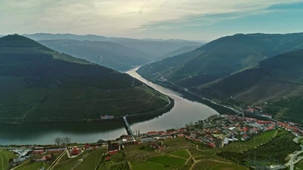 Uitzicht Vanuit Lucht Terrasvormige Wijngaarden Vallei Van Douro Rivier Portugal — Stockvideo