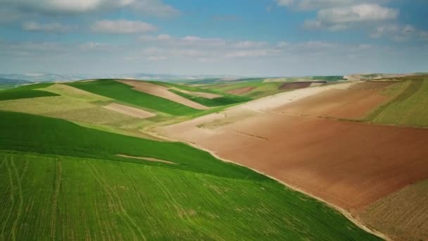 Légi Táj Dombos Mezőgazdasági Mezőkkel Marokkóban Afrikában — Stock videók
