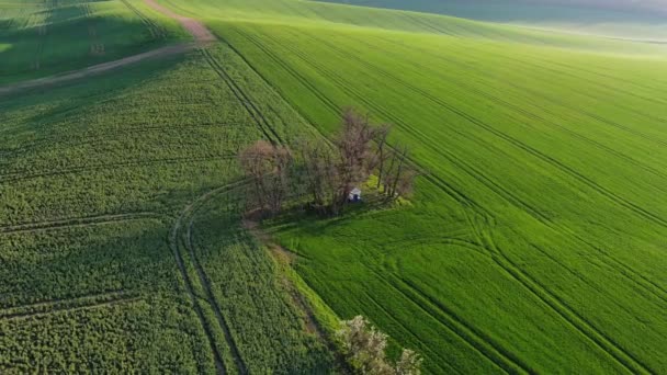 モラヴィア チェコ共和国 4Kの間の南モラヴィアの丘のフィールドのチャペル ステップの眺めの周りの空気 — ストック動画