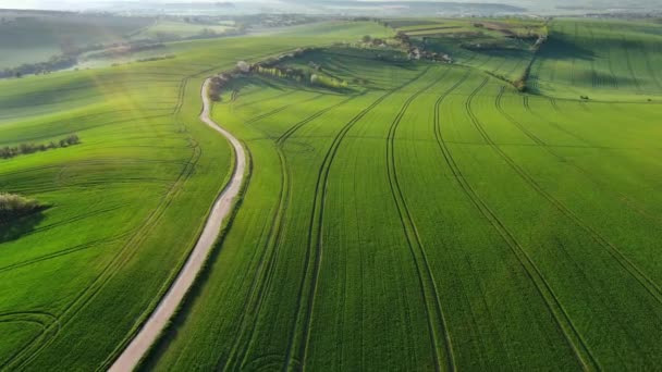 在空中俯瞰着令人惊叹的绿色波浪形山丘 春天还有农田 South Moravia Region Czech Republic Europe — 图库视频影像