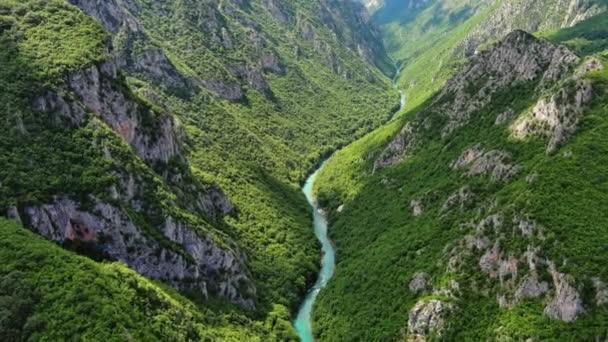 Flygfoto Över Tara River Djup Ravin Och Skog Berg Norra — Stockvideo