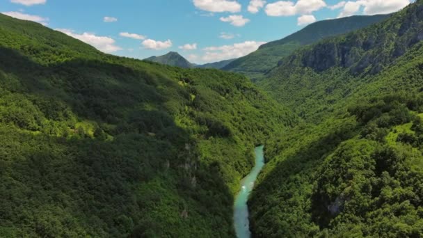 モンテネグロ北部のタラ川深い渓谷と森の山の空中眺め — ストック動画