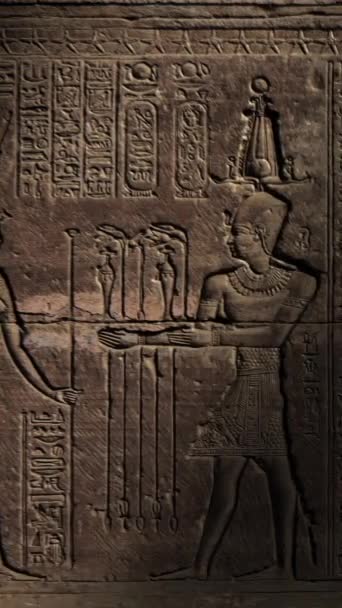 Світла Пляма Рухається Ієрогліфічних Різьбленнях Стіні Стародавнього Єгипетського Храму Вертикальне — стокове відео
