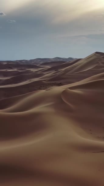 Aerial View Sand Dunes Hongoryn Els Gobi Desert Mongolia Vertical — Stock Video