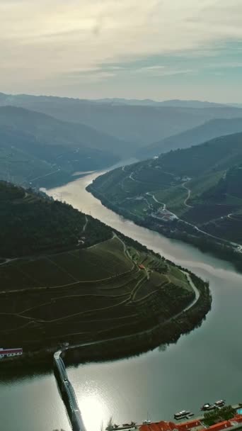 Widok Lotu Ptaka Tarasowe Winnice Dolinie Douro Portugalia Pionowe Wideo — Wideo stockowe