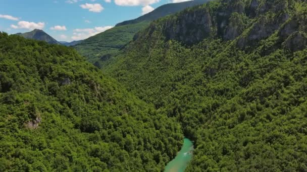 Veduta Aerea Del Canyon Profondo Del Fiume Tara Montagna Foresta — Video Stock