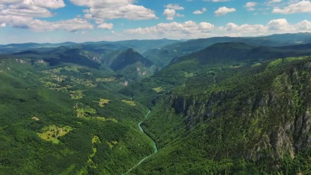 Vista Aérea Del Cañón Profundo Del Río Tara Montaña Forestal — Vídeo de stock