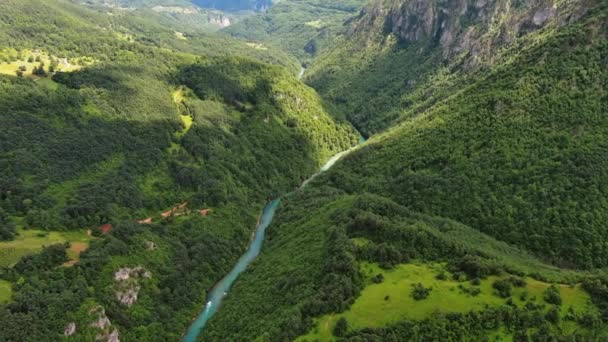 Vista Aérea Del Cañón Profundo Del Río Tara Montaña Forestal — Vídeos de Stock