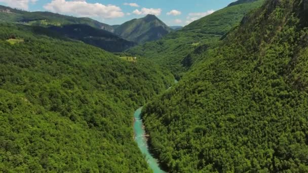 Letecký Pohled Hluboký Kaňon Řeky Tary Lesní Horu Severní Černé — Stock video
