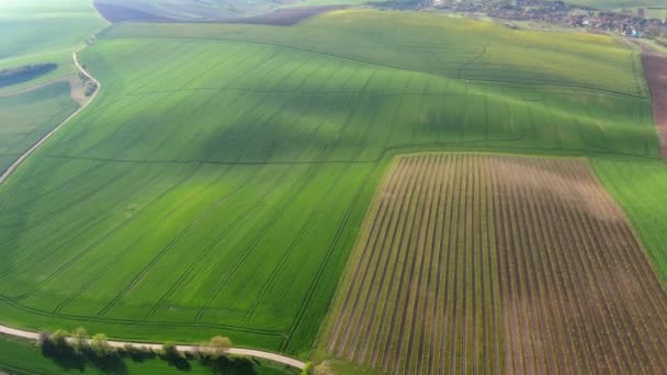 봄철에 농지가 놀라운 물결치는 언덕들을 공중에서 내려다본 것이다 모라비아 공화국 — 비디오