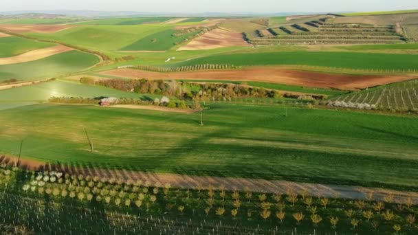 Luchtfoto Van Verbazingwekkende Groene Golvende Heuvels Met Landbouwvelden Tuinen Het — Stockvideo