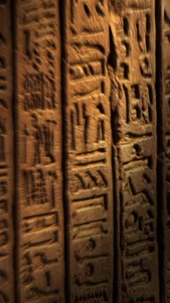 在古埃及象形文字上移动的亮点刻在庙宇的墙上 垂直录像 — 图库视频影像