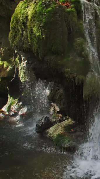 Бигарский Водопад Осенняя Листва Румыния Вертикальное Видео — стоковое видео